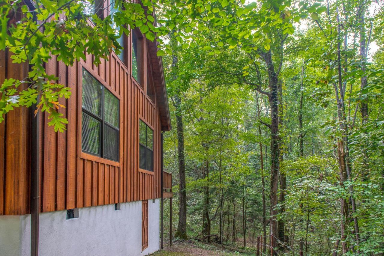 Friendly Bear Cabin Pigeon Forge Buitenkant foto